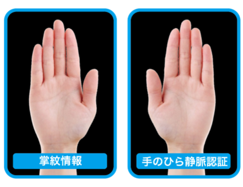掌紋＋手のひら静脈イメージ